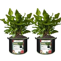 Fvotnw pack gallon for sale  Delivered anywhere in USA 