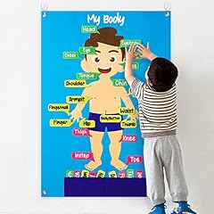 Watinc 35pcs body for sale  Delivered anywhere in USA 