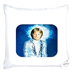 Present coussin housse d'occasion  Livré partout en France