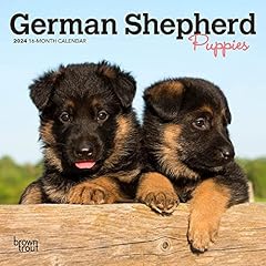 German shepherd puppies for sale  Delivered anywhere in UK