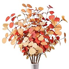 Beferr fall eucalyptus for sale  Delivered anywhere in USA 