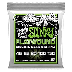 Ernie ball regular usato  Spedito ovunque in Italia 