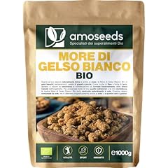 More gelso bianco usato  Spedito ovunque in Italia 
