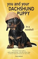 Dachshund puppy nutshell for sale  Delivered anywhere in UK