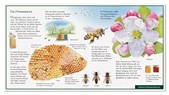 Honigbiene bienenstock wawra gebraucht kaufen  Wird an jeden Ort in Deutschland