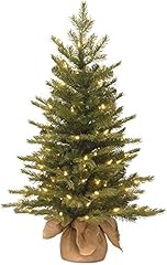 National tree company for sale  Delivered anywhere in USA 