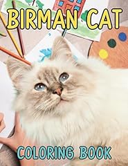 Cute birman cat for sale  Delivered anywhere in UK