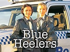 Blue heelers for sale  Delivered anywhere in UK