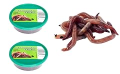 Endrobena regenwurm rotwurm gebraucht kaufen  Wird an jeden Ort in Deutschland