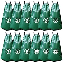 Tanzfrosch pack gallon for sale  Delivered anywhere in USA 