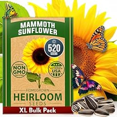 Home grown sunflower for sale  Delivered anywhere in USA 