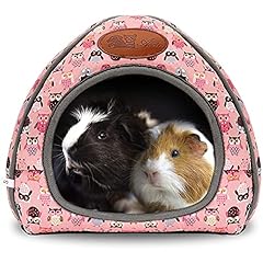 Ranypet guinea pig for sale  Delivered anywhere in UK
