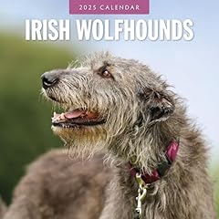 Irish wolf hounds for sale  Delivered anywhere in UK