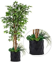 Deluxe ficus silk for sale  Delivered anywhere in USA 