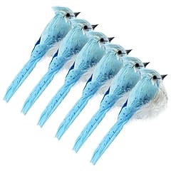 Cornucopia blue jays for sale  Delivered anywhere in USA 