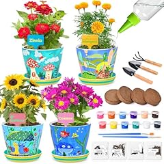 Paint plant flower for sale  Delivered anywhere in USA 
