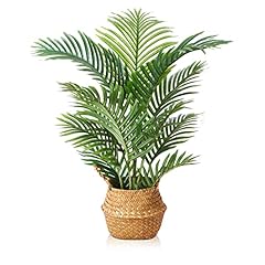 Lomanto fake majesty for sale  Delivered anywhere in USA 