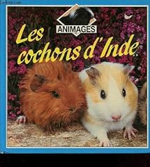 Cochons inde animages d'occasion  Livré partout en France