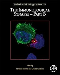 The immunological synapse d'occasion  Livré partout en France