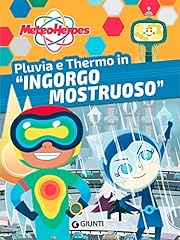 Pluvia thermo ingorgo usato  Spedito ovunque in Italia 