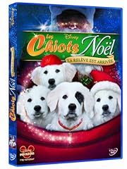 Chiots noël relève d'occasion  Livré partout en Belgiqu