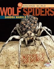 Wolf spiders mothers for sale  Delivered anywhere in UK