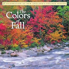 Colors fall celebration for sale  Delivered anywhere in USA 