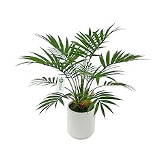 Besamenature artificial palm for sale  Delivered anywhere in USA 