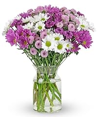 Benchmark bouquets stem for sale  Delivered anywhere in USA 