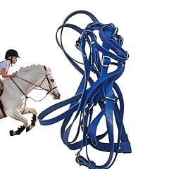 Briglia per cavallo usato  Spedito ovunque in Italia 