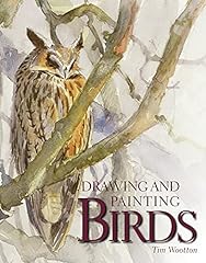 Drawing painting birds for sale  Delivered anywhere in UK