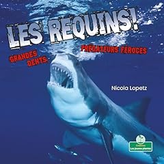 Requins grandes dents d'occasion  Livré partout en France
