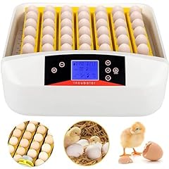 Aceshin eggs incubator for sale  Delivered anywhere in USA 