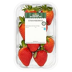 Strawberries 227g for sale  Delivered anywhere in UK