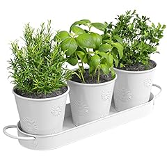 Barnyard designs herb for sale  Delivered anywhere in USA 