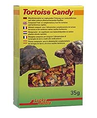 Lucky reptile tortoise usato  Spedito ovunque in Italia 