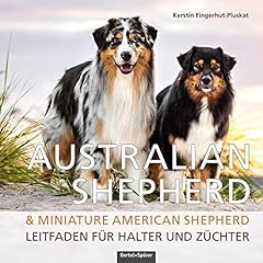 Australian shepherd miniature d'occasion  Livré partout en Belgiqu