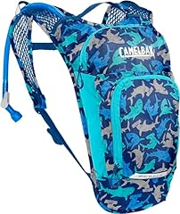 camelbak mule d'occasion  Livré partout en France
