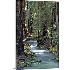 Greatbigcanvas redwood forest for sale  Delivered anywhere in USA 