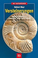 Versteinerungen häufige fossi gebraucht kaufen  Wird an jeden Ort in Deutschland