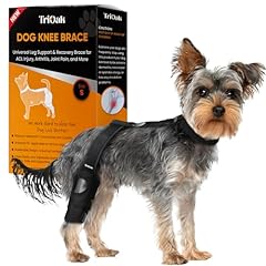 Small dog acl for sale  Delivered anywhere in USA 