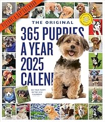 365 puppies year for sale  Delivered anywhere in USA 