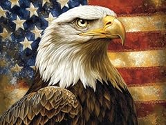 Bald eagle american for sale  Delivered anywhere in USA 