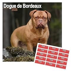 Dogue bordeaux calendar for sale  Delivered anywhere in UK