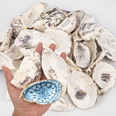 15pcs oyster shells for sale  Delivered anywhere in USA 