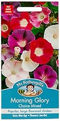Mr. fothergill morning for sale  Delivered anywhere in UK