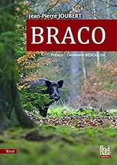 Braco d'occasion  Livré partout en Belgiqu