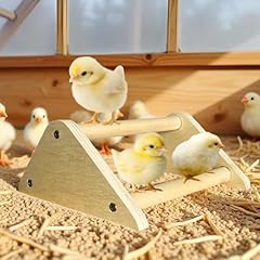 Chicken toys roosting for sale  Delivered anywhere in USA 