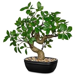 Künstlicher bonsai baum gebraucht kaufen  Wird an jeden Ort in Deutschland