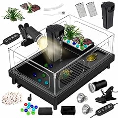 Gozilla small turtle for sale  Delivered anywhere in USA 
